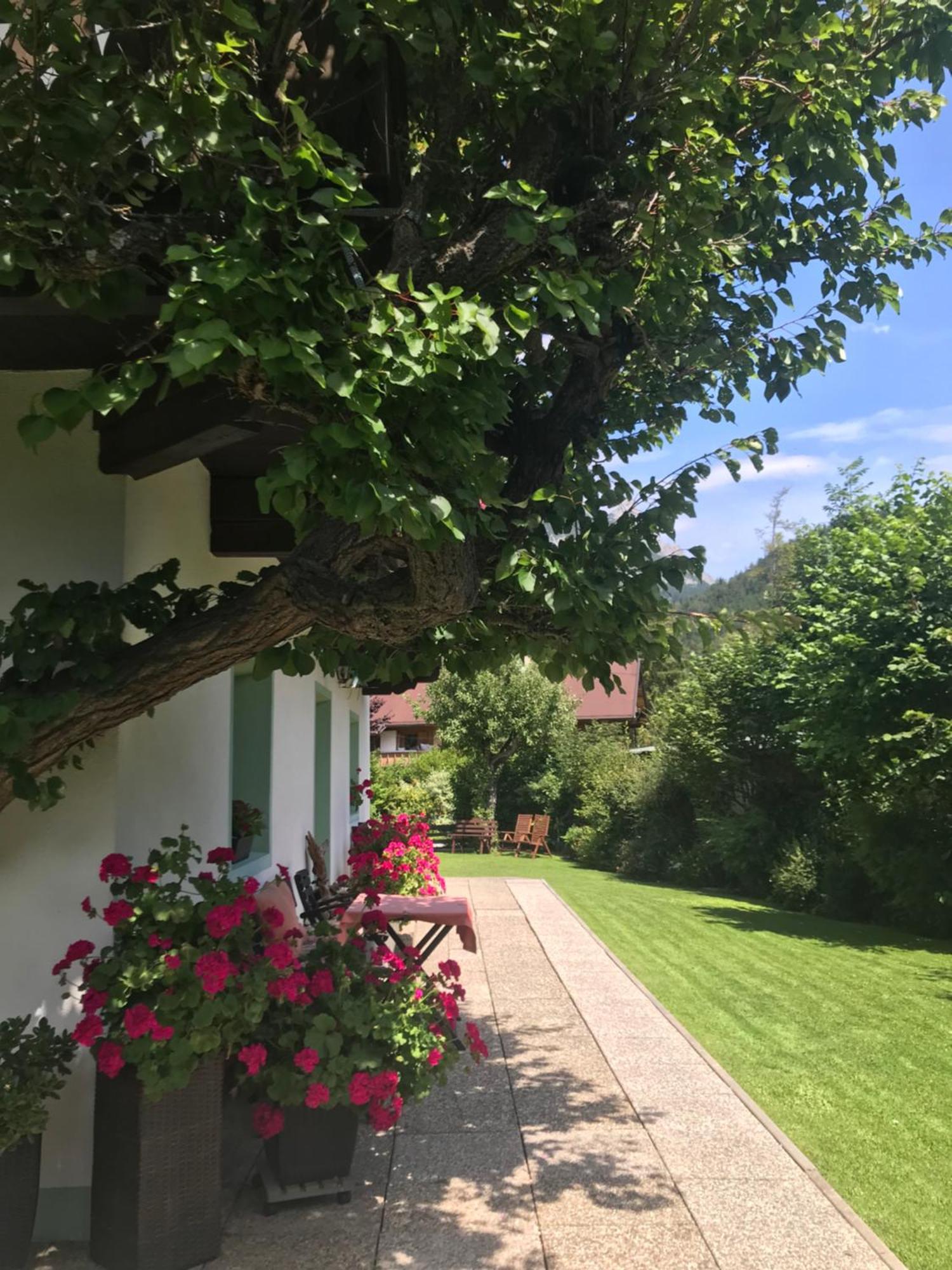 Haus Hoher Sattel Apartment Leutasch Exterior photo